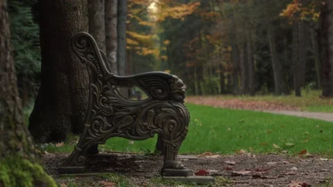 Empty Ornate Park Bench Beside Forest Path in Autumn Vídeos de archivo 327464552