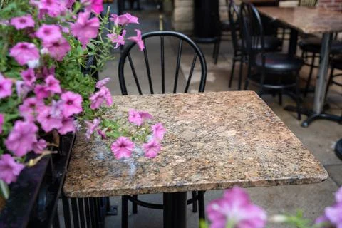 Empty outdoor cafe patio table beside pink flowers Stock Photos
