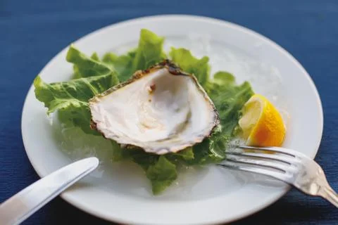 Empty oyster shell on plate with lemon and lettuce Stock Photos