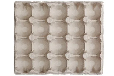 Empty packaging from chicken eggs Stock Photos