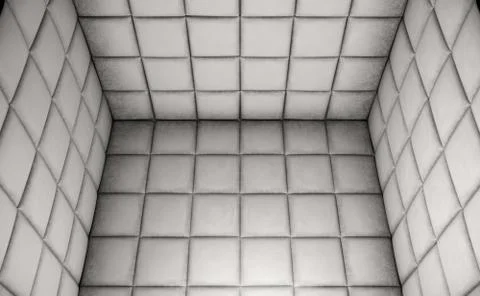 Empty Padded Cell Stock Illustration
