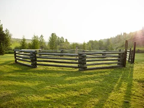 Empty paddock with a split rail fence on a grassy field surrounded by trees with Stock Photos
