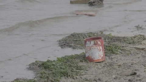 An empty paint bucket litters a sandy beach Stock Footage 244281946
