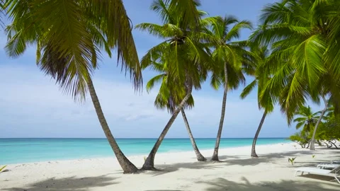 Empty palm beach and blue sea on Cuba beach background. Stock Footage 144476255