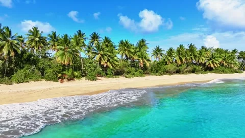 Empty palm beach and sea on a sunny day. Green palm trees line the sandy beach. Stock Footage 332828789