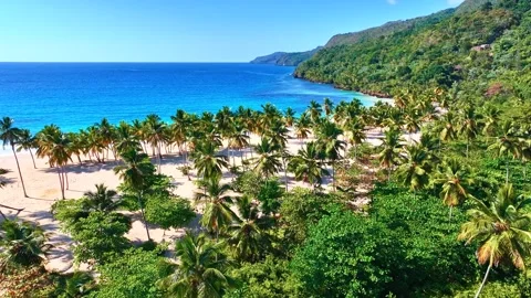 Empty palm beach with white sand. Blue sea, beautiful beach, tall palm trees. Stock Footage 307426722