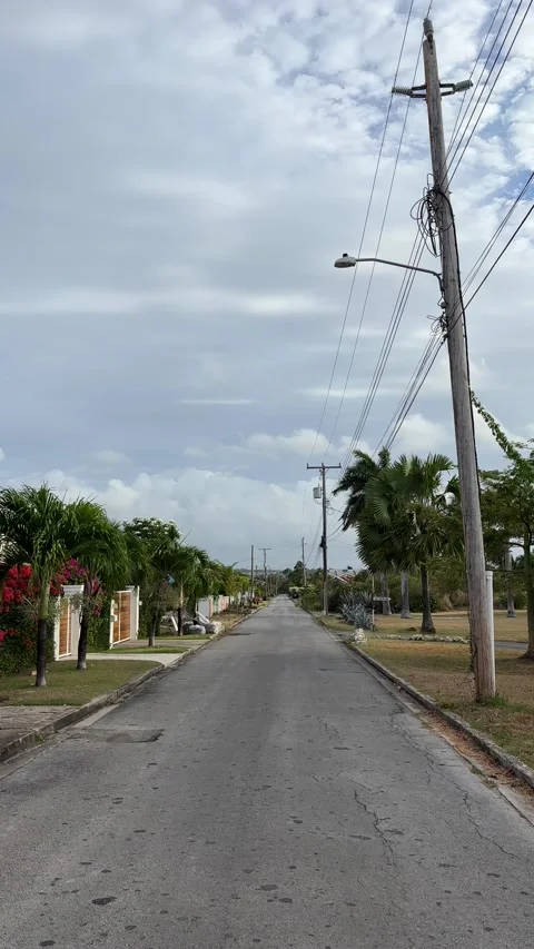 Empty Palm-Lined Residential Road Receding to Horizon, Barbados Stock Footage 337109116