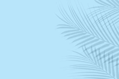 Empty palm shadow texture pattern cement on blue wall background Summer tropical Stock Photos