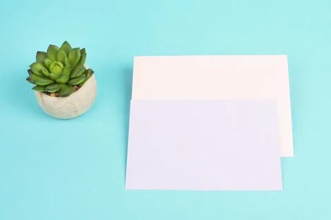 Empty paper with a cactus textured background, brainstorming for new ideas, Stock Photos