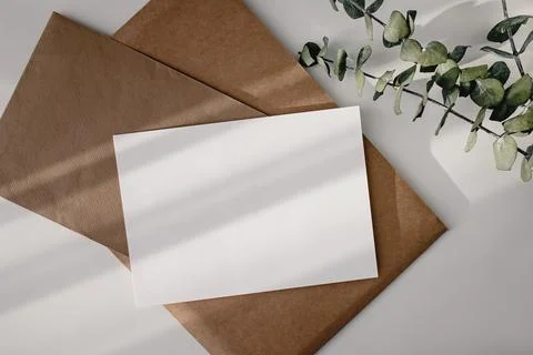 Empty paper card and eucalyptus branches on the white table. Stock Photos