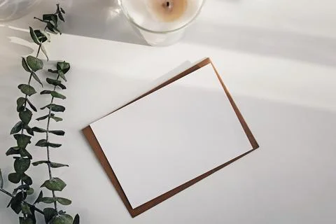 Empty paper card and eucalyptus branches on the white table. Stock Photos