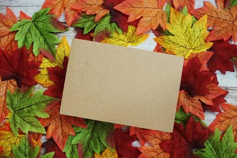 Empty paper card mock up top view on maple leaves Stock Photos