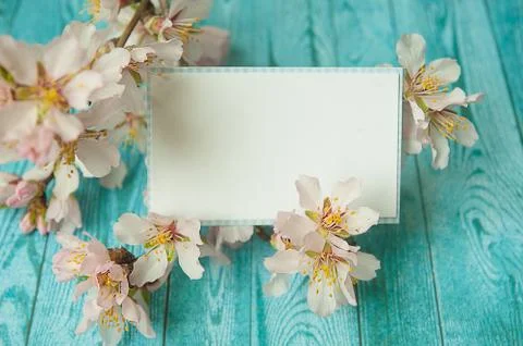 Empty paper card with spring flowers Stock Photos