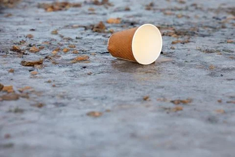 Empty paper coffee cup left on the ground, recyclable waste Stock Photos