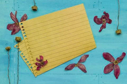Empty paper with decoration Stock Photos