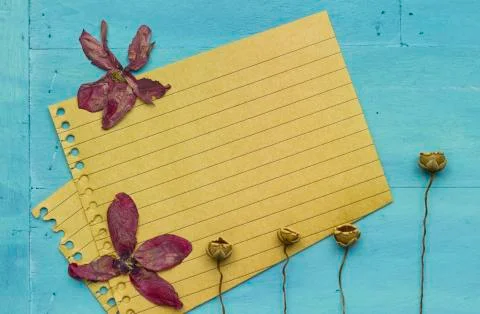 Empty paper with decoration Stock Photos