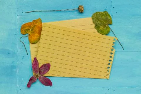 Empty paper with decoration Stock Photos
