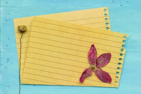 Empty paper with decoration Stock Photos