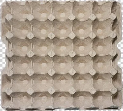 Empty paper egg tray for 30 eggs. View from above. isolated on a transparent Stock Photos