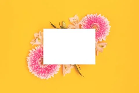 Empty paper mock up. Frame made of alstroemeria and gerbera flowers. Stock Photos