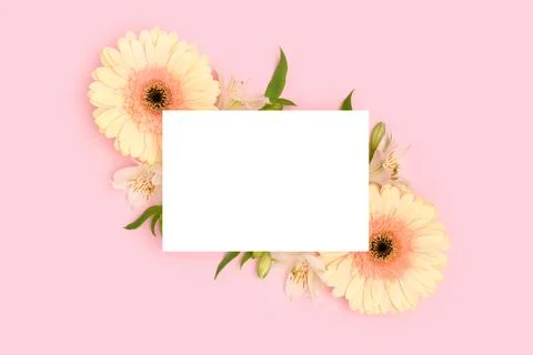 Empty paper mockup. Frame made of green leaves, alstroemeria, gerbera flowers Stock Photos