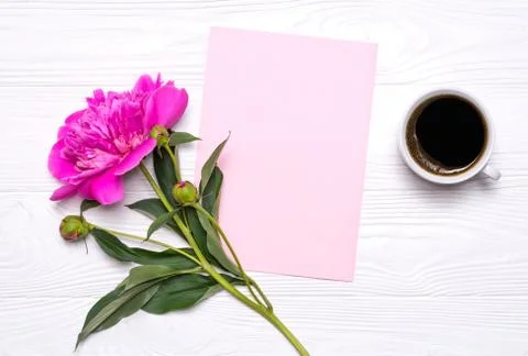 Empty paper with place for text, a cup of coffee and peony flower on a white Stock Photos
