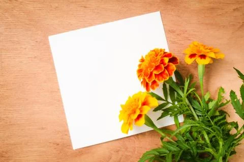 Empty Paper Sheet With Flowers on Rustic Wooden Background. Stock Photos