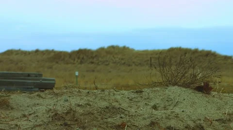 Empty Park at the Beach During The Winter Video stock 45371488