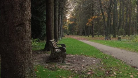 Empty Park Bench Along Forest Path in Autumn Video stock 327464457
