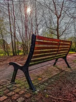 Empty Park Bench in Autumn Sunlight Stock Photos