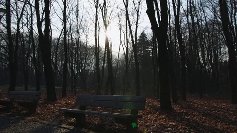 Empty park bench on autumn sunset Stock Footage 83081836