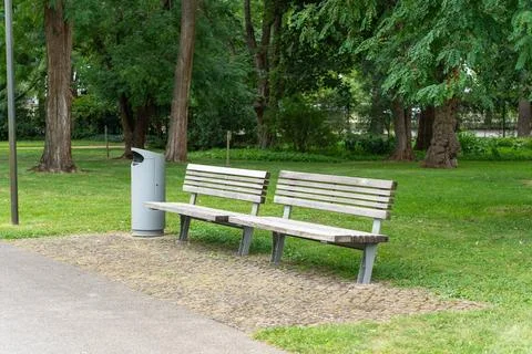 Empty Park Bench Beneath Black Locust Trees Stock Photos