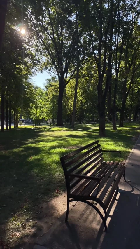 Empty park bench beside a walkway, outdoor leisure and peaceful waiting concept. Stock Footage 342977373