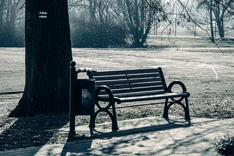 Empty park bench on a cold winter morning Stock Photos