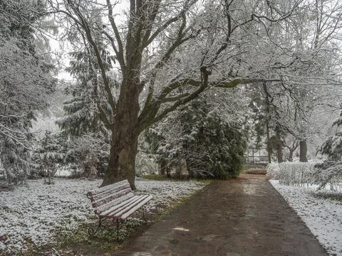 Empty park bench covered by snow. 스톡 사진