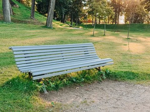 Empty Park Bench in Green Public Park at Golden Hour Foto stock