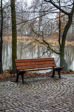 Empty Park Bench by the Lake in Winter Stock Photos