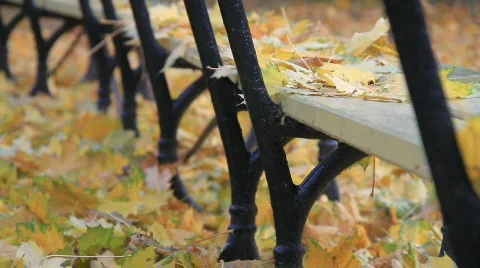 An empty park bench with leaves Stock Footage 576448