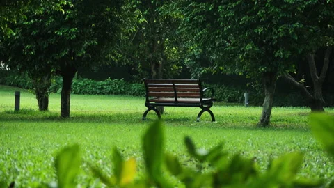 Empty Park Bench on Lush Green Lawn on a Pleasant Afternoon Stock Footage 319398845
