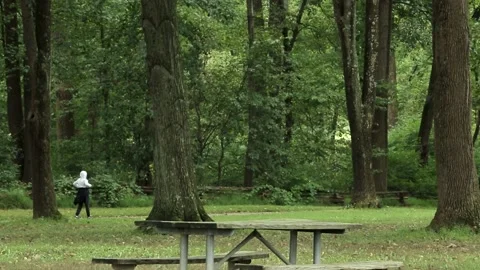 An empty park bench next to a tree Stock Footage 156012784