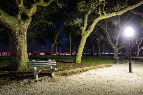 An empty park bench at night with large oak trees Stock Photos