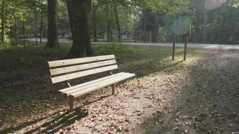 Empty Park Bench Orbit Handheld Nature Shot Stock Footage