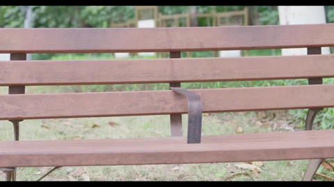 Empty Park Bench in Outdoor Space, No People Stock Footage 330708337