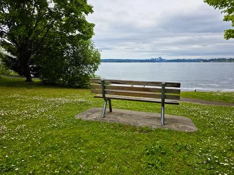Empty Park Bench Overlooking Lake Washington and Bellevue Skyline on Cloudy D Stock Photos