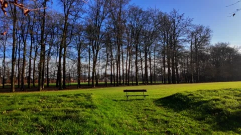 Empty Park Bench at Paleis Het Loo Gardens in Apeldoorn Видео 331347573