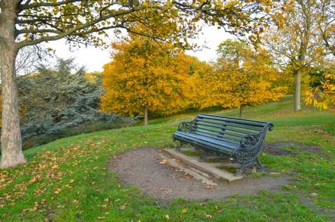 Empty park bench in a park surrounded by colourful trees Stock Photos