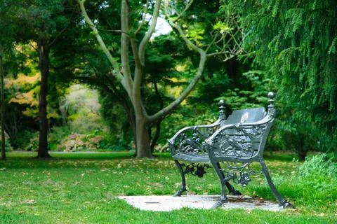Empty park bench Foto stock