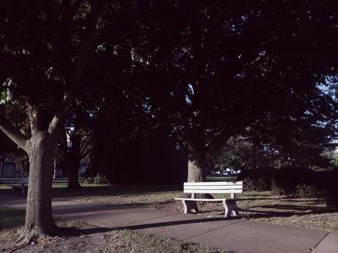 Empty Park Bench Fotos de archivo