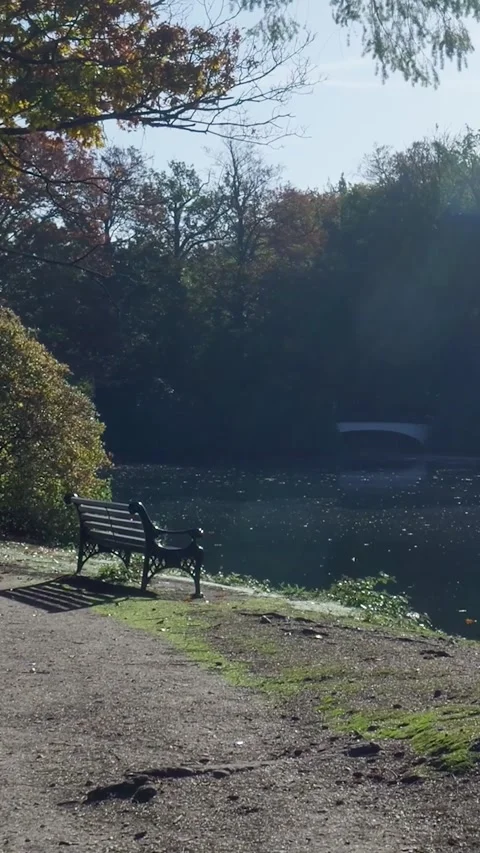 Empty park bench by a serene lake in autumn Stock Footage 327109007