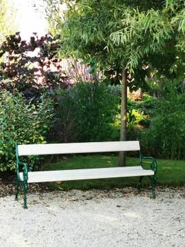 An empty park bench sitting in front of a tree Stock Photos